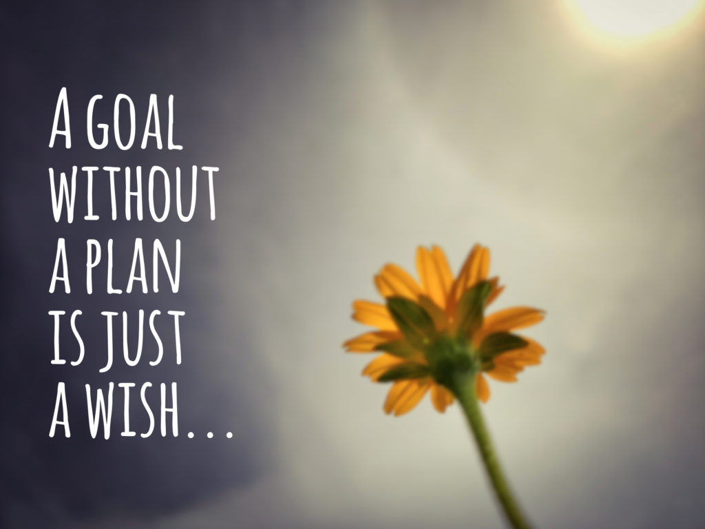 a goal without a plan is just a wish